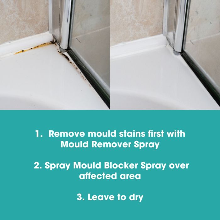 Спрей за блокиране на мухъл (Mould Blocker Spray)