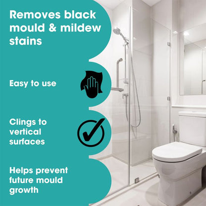 Гел за премахване на мухъл (Mould Remover Gel) - Furniture Clinic