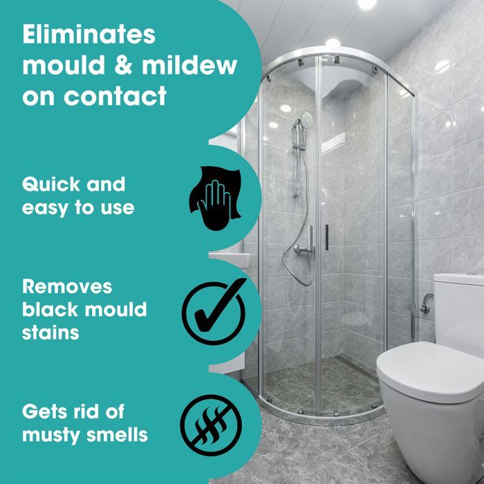 Спрей за премахване на мухъл и плесен (Mould Remover Spray)